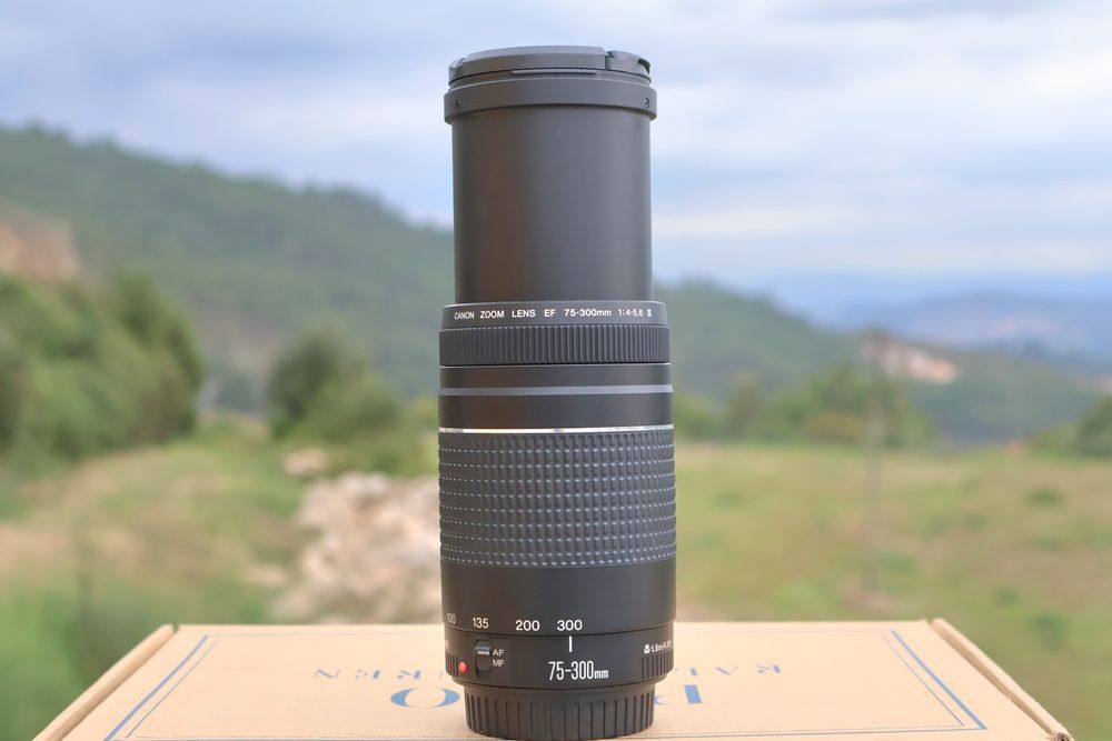 Canon EF 75-300mm F/4-5.6 III