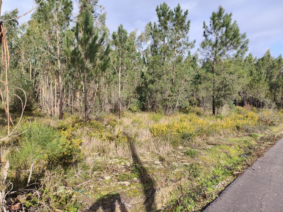 Terreno na Almagreira Construtivo