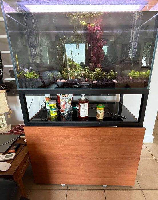 Vendo Aquário de 90x50x50 e móvel em ferro – apenas 200€