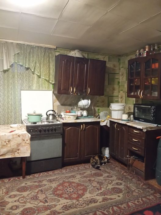 Продам будинок по фасаду в с.Безп'ятне!/Червоне/ Варіант під Бізнес!