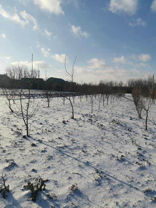 Продам земельну ділянку