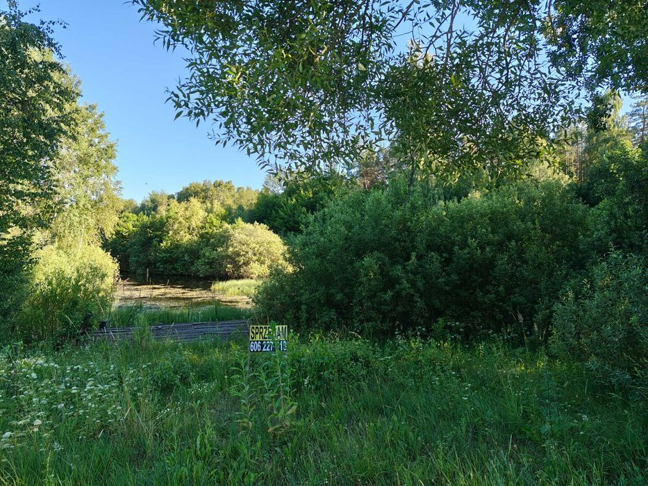 Działka (siedliskowa) na sprzedaż