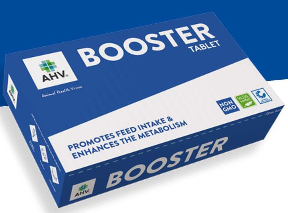 AHV BOOSTER TABLET , bolus energetyczny