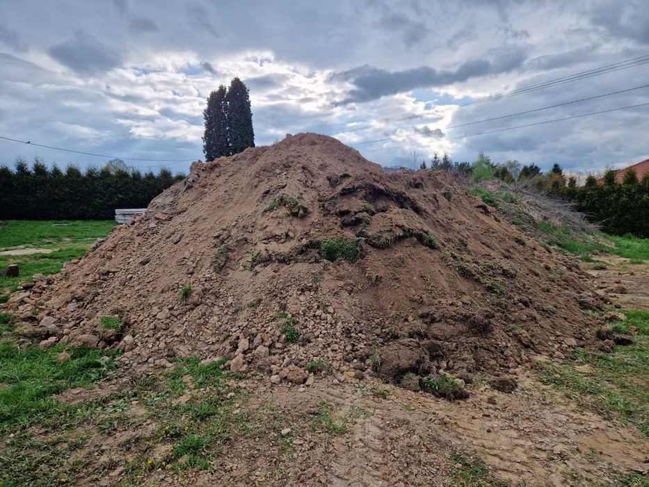 Oddam ziemię za darmo