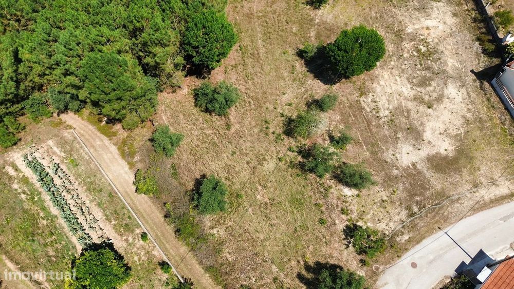 Terreno com 2020m2 para construção em Carnide — Carnide, Leiria