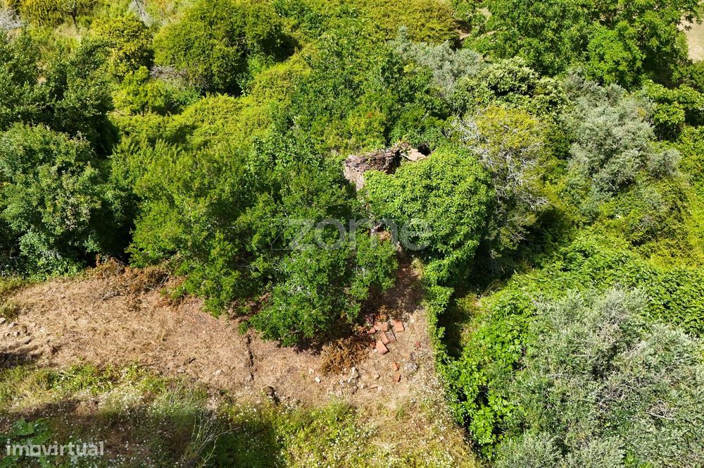 .Terreno Rustico | Bera |Almalaguês