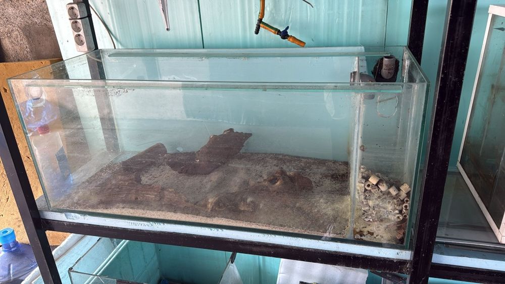 Aquários  para peixes ornamentais