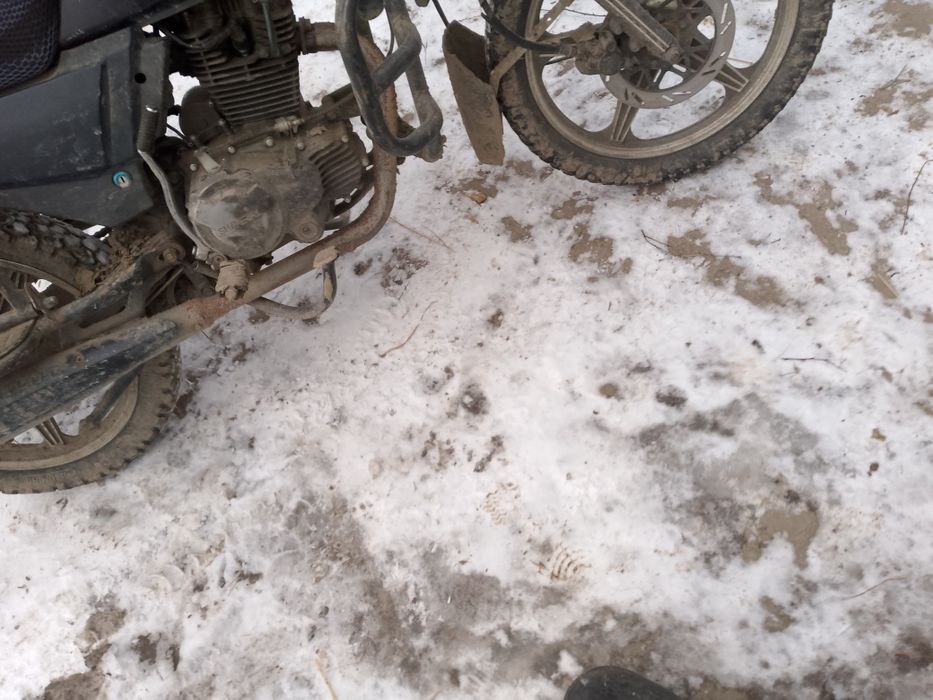 Продам шенрай Інтрундер 200