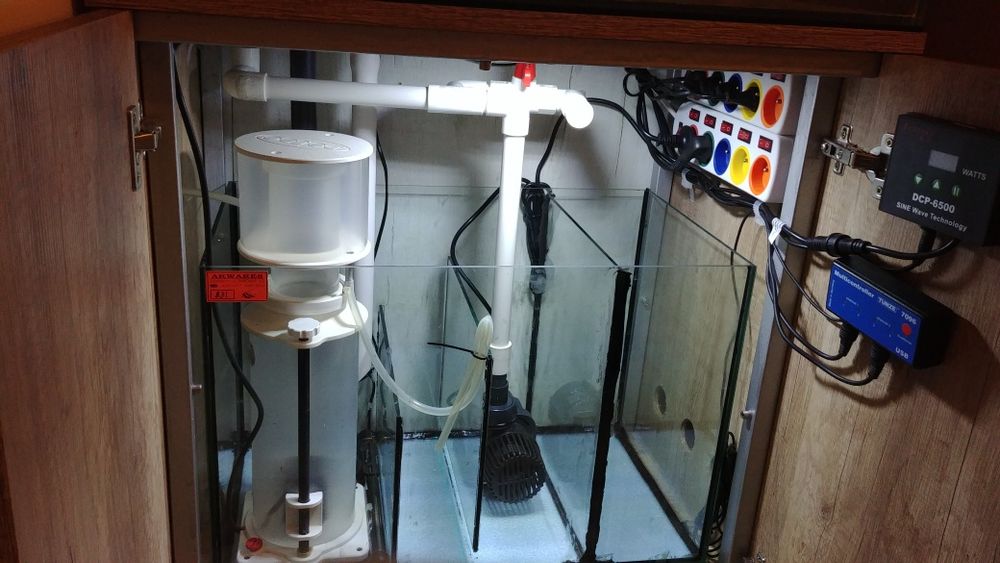 Akwarium morskie zestaw