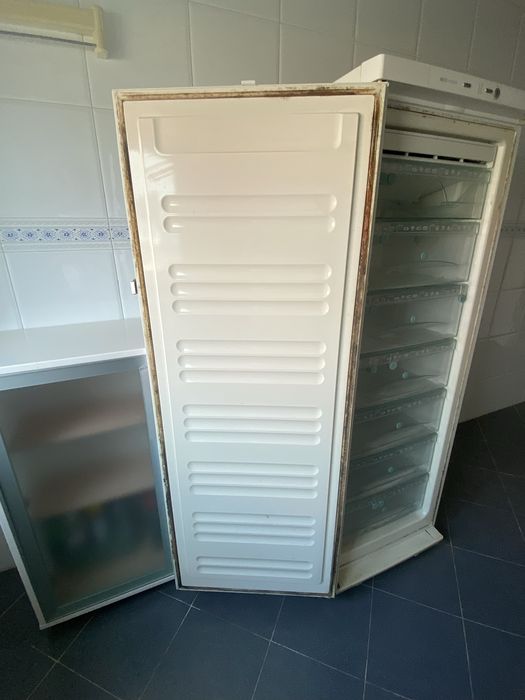 Arca congeladora Miele