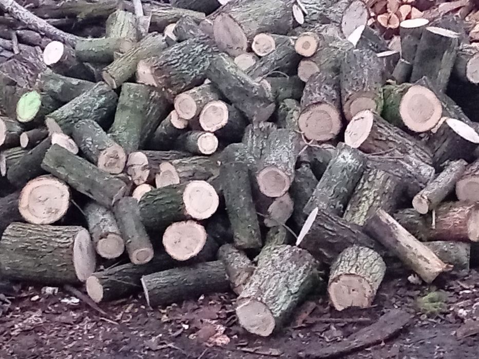 Drewno kominkowe,opałowe