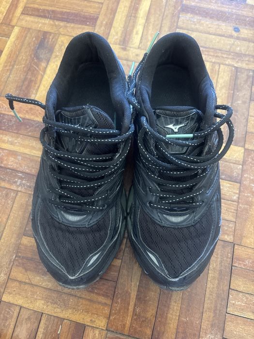 Mizuno prophecy 8