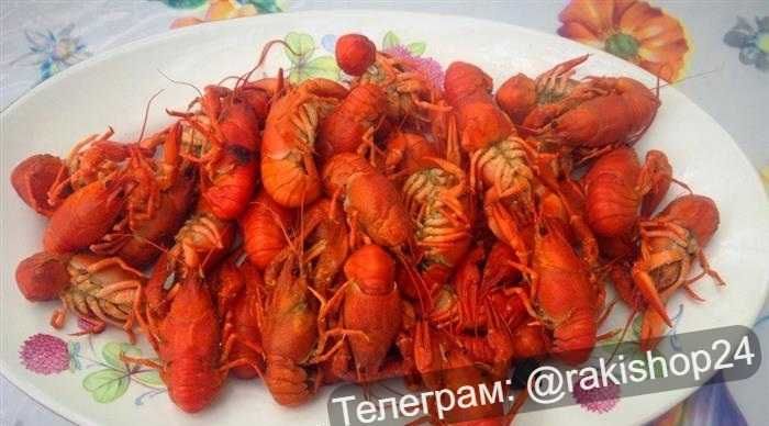 Раки з ікрою. Є доставка. Живі та варені.