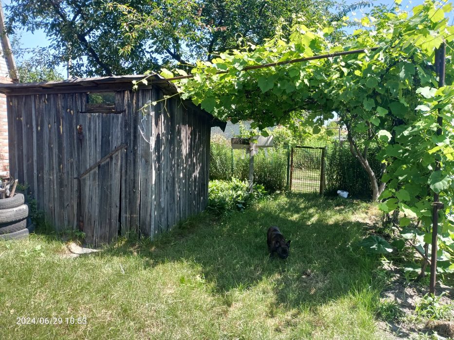 Дачна    ділянка