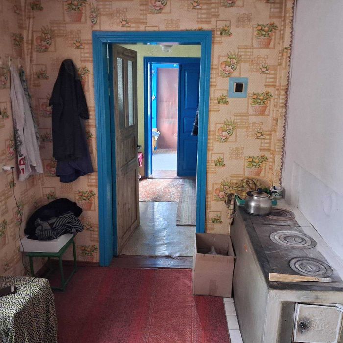 Розкіш Тиші: На Продаж Виставлено Заміський Будинок