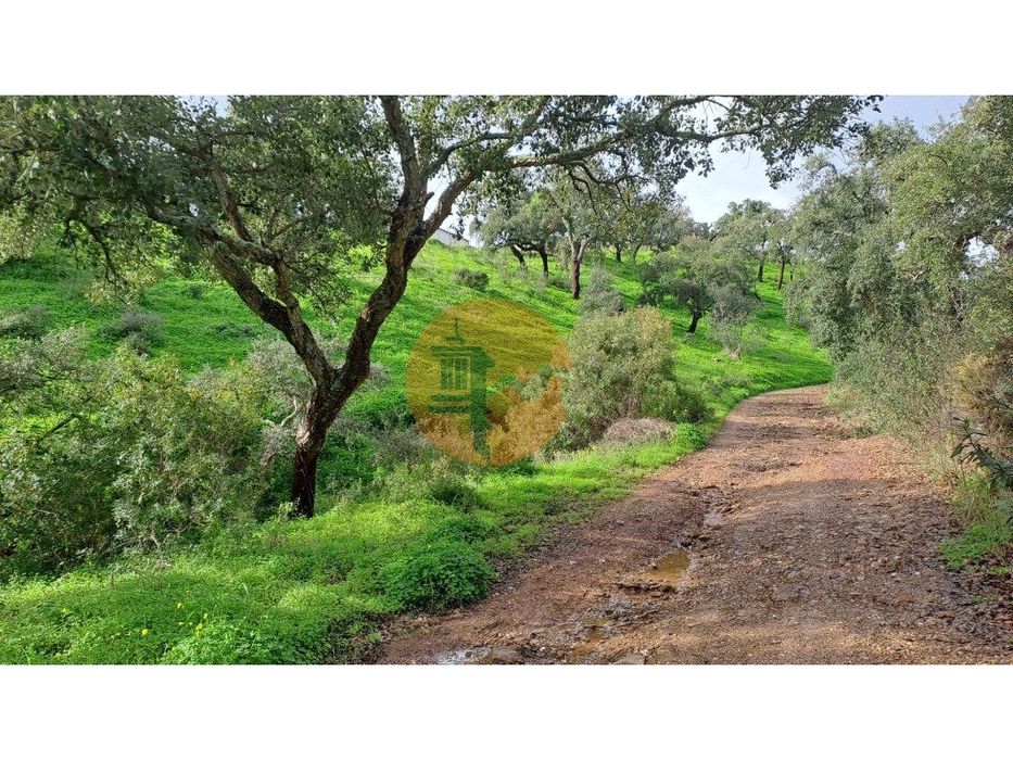 Terreno com 19990 m2 com área total de construção de 1587.62m2