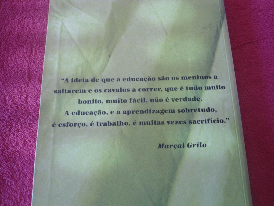 Difícil é sentá-los (A Educação de Marçal Grilo) por Dulce Neto
