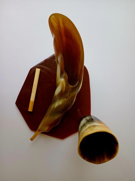 Органайзер настільний ріг Достатку рог Изобилия из рогів диких тварин