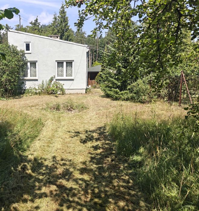 Okazja! Działka przy lesie, 6 km od rzeki – z domem z lat 80. i wyjątkową altaną z bali - Widok 2
