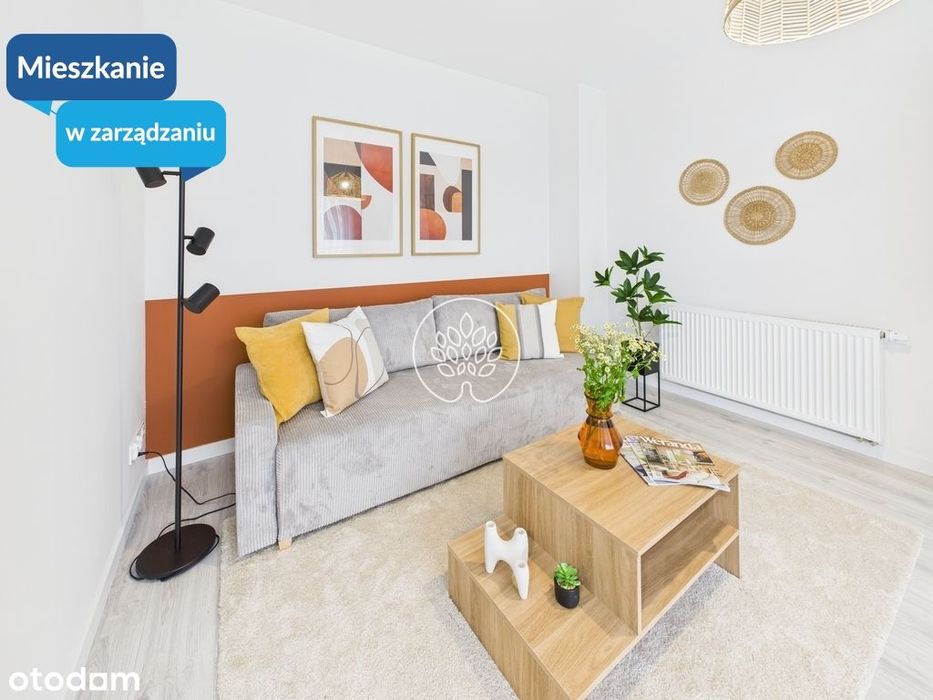 Nowa kawalerka na wynajem Fordon Bydgoszcz