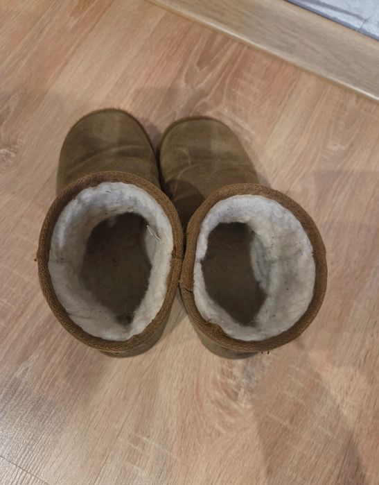 Śniegowce Emu Australia