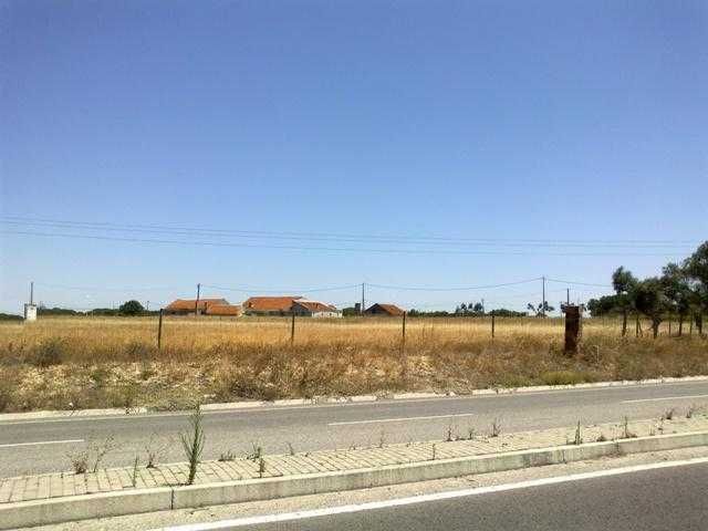 Terreno com 23.697 m2 entre a circular externa e A12 - Montijo
