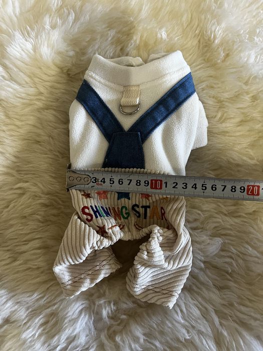 Одяг для маленького песика