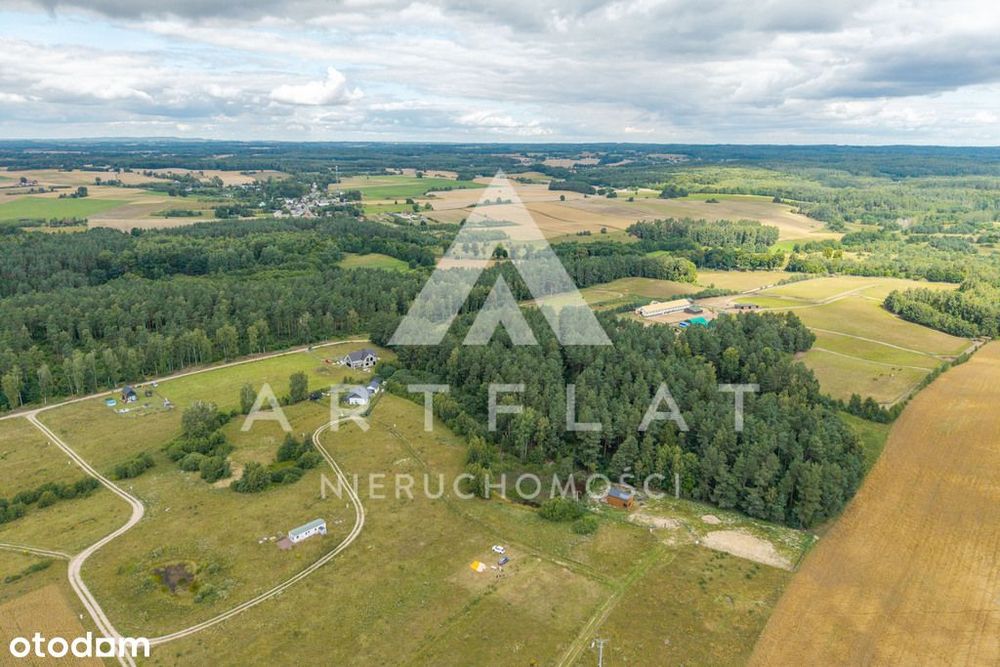MPZP, las i staw , Szczodrowo - Widok 4