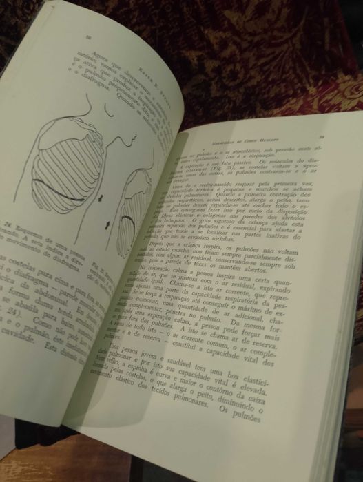 Maravilhas do Corpo Humano 1959 Edith E. Sproul