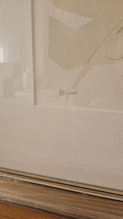 Serigrafia Helena Abreu