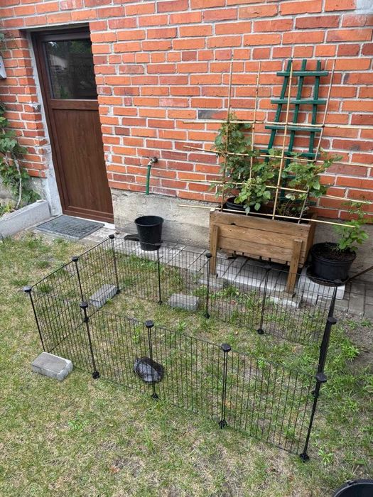 Wybieg Kojec Klatka dla Świnki Morskiej Królika Gryzoni Gryzonia NOWY