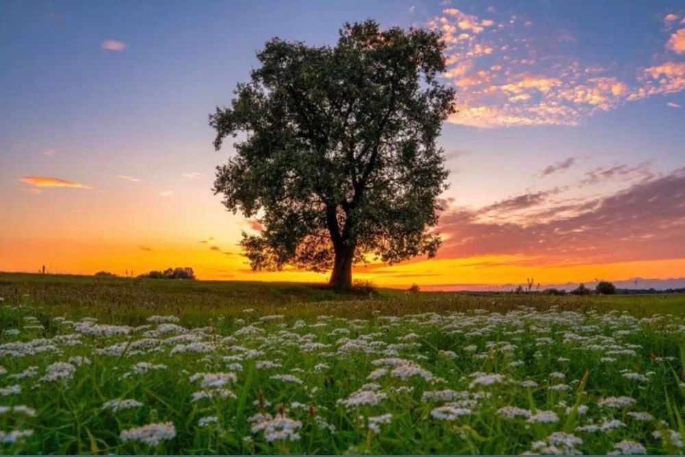 Fotografie, zdjęcia