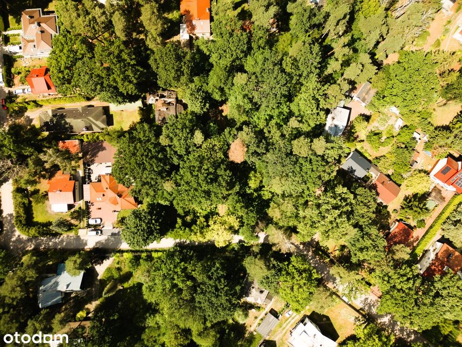 Urokliwa nieruchomość w Zalesiu Górnym.