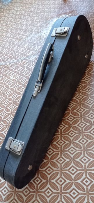 Скрипка у футлярі