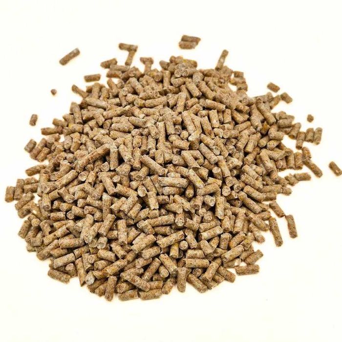 PASZA dla koni GRANULAT Super konik 20 kg KOJPASZ