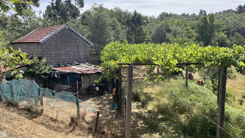 Oprtunidade- Quinta com casa rustica para restauro