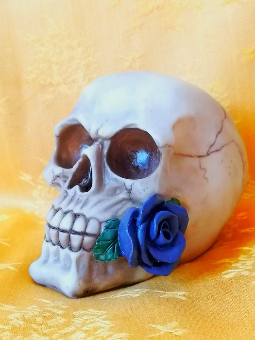 Cabeças de caveiras