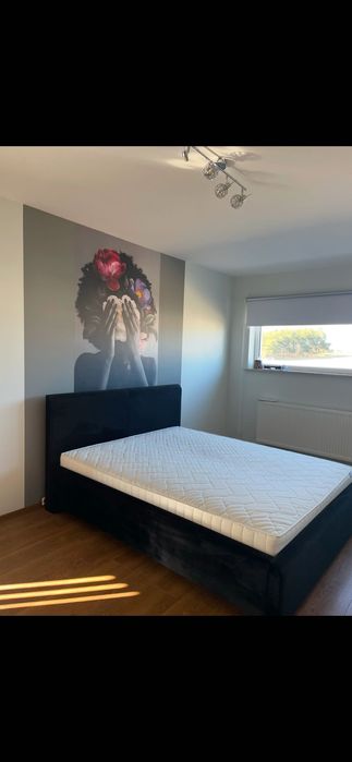 Dom/segment do wynajęcia