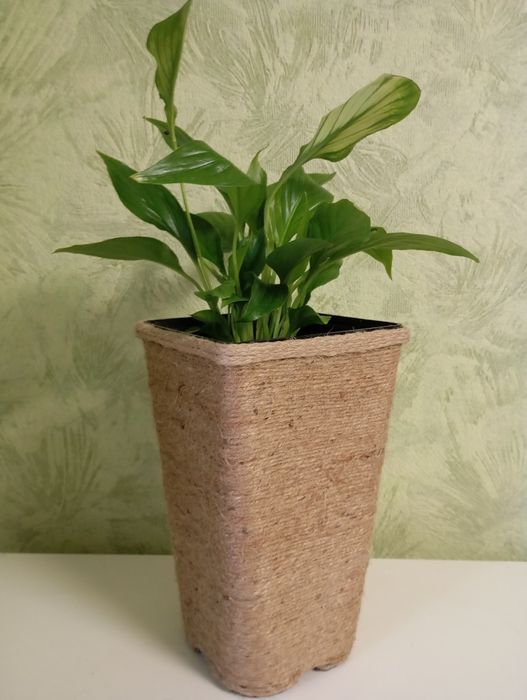 Кашпо ручної роботи