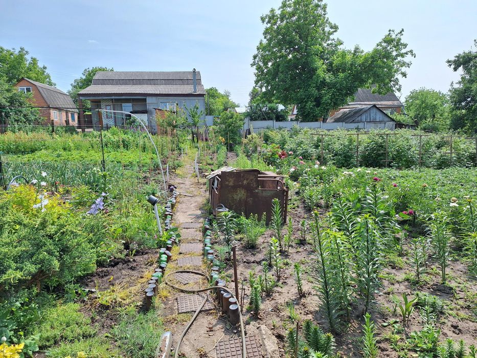 Будинок, 42 м² Коротич.