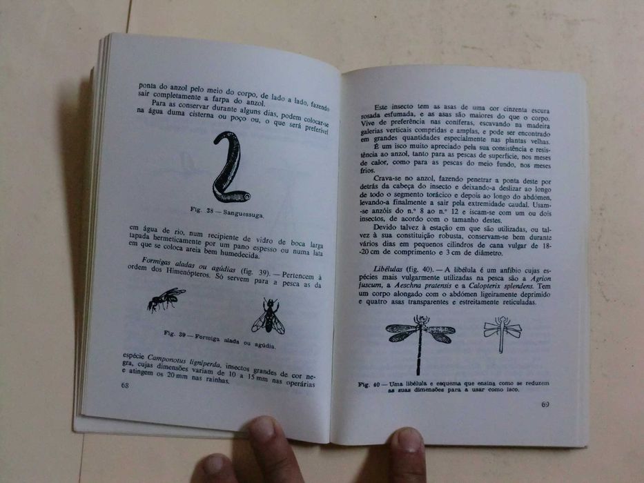 Iniciação à Pesca
de Juan Nadal