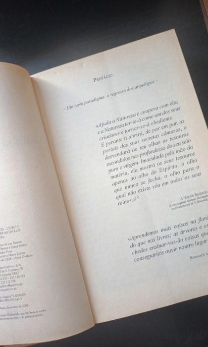 Rainha das Terras da Luz livro