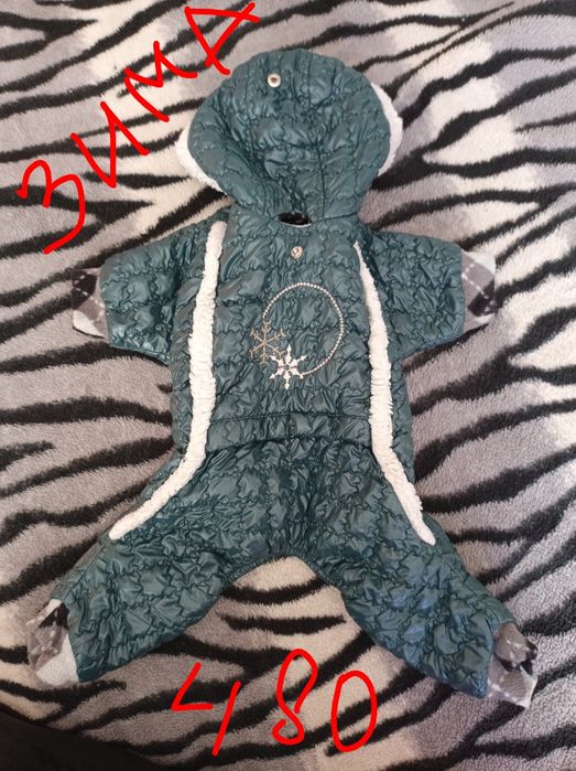 Одежа для собачки, маленьких порід