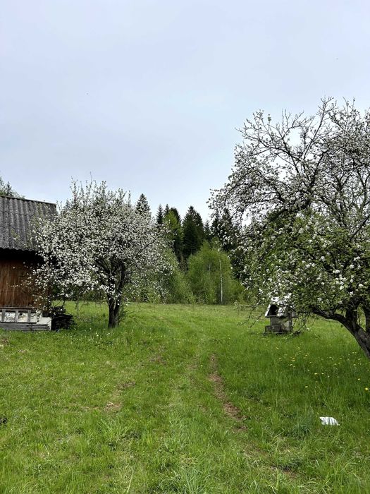 Продаж будинку,земельної ділянки,с Свидник,Східницька ОТГ.