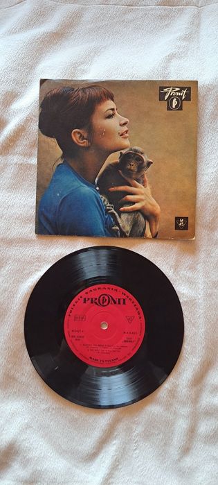 Płyta Winyl EP Chochoły / Rene Glaneau – Skandal w rodzinie (1966) Pronit N-0421
Kategoria: