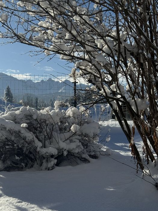 Domek Przy Potoku Murzasichle, domek w górach