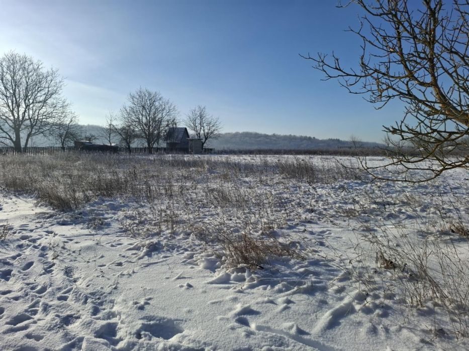 Продаж земельної ділянки під салівництво