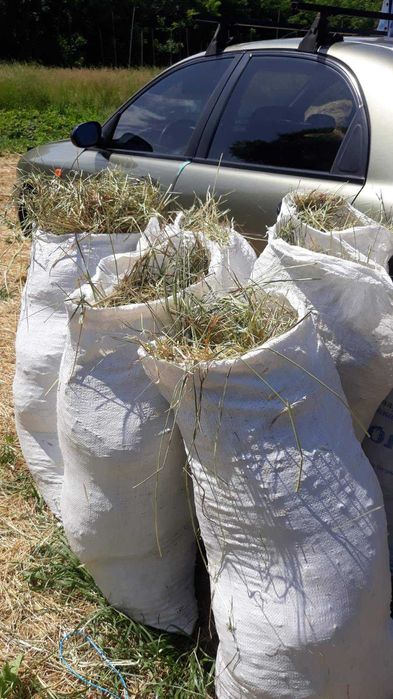 Сіно лугове в мішках