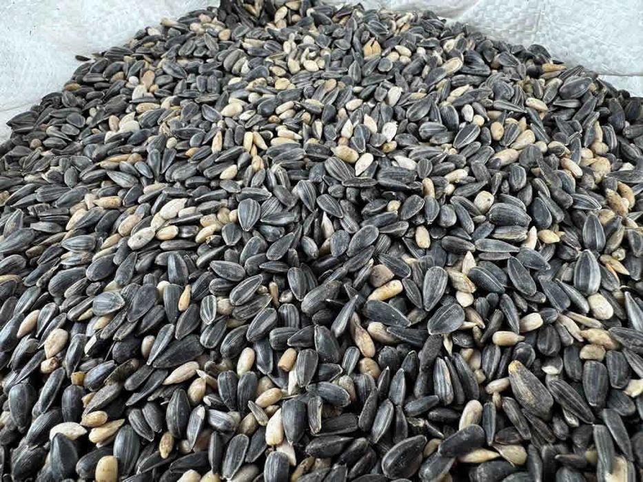 Gryka Siewna Miododajna Poplon EKO Nawóz K+P 10 KG