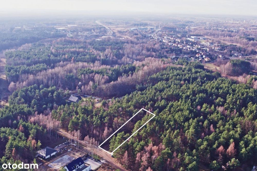 W nowej cenie - Piękna działka w otoczeniu lasu